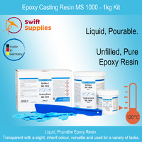 Epoxy Casting Resin MS 1000 - 1kg Kit